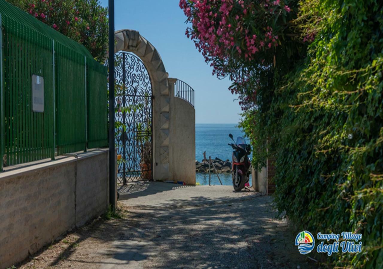 Camping Village Degli Ulivi Mattinata Eksteriør billede