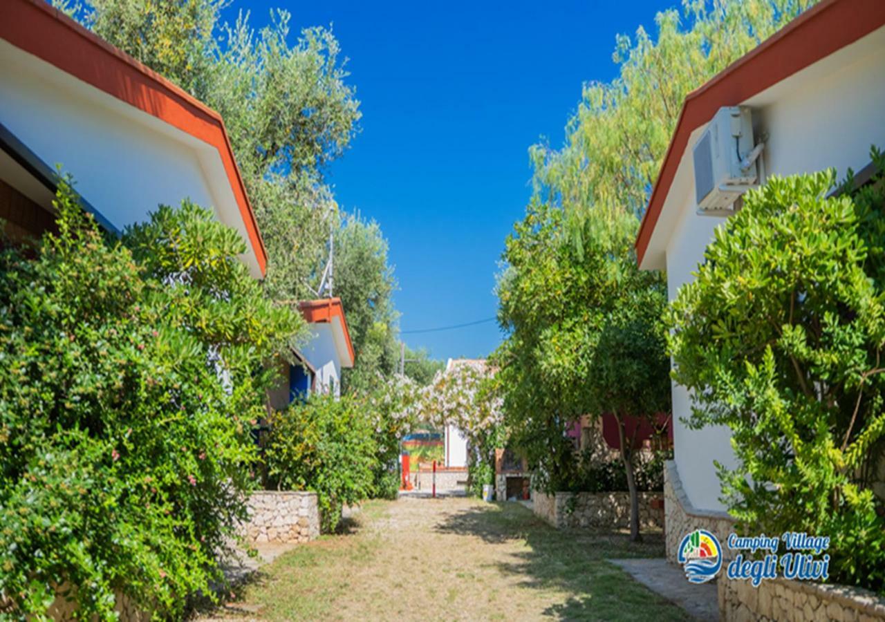 Camping Village Degli Ulivi Mattinata Eksteriør billede