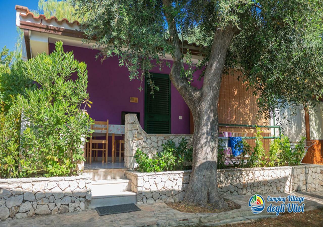 Camping Village Degli Ulivi Mattinata Eksteriør billede